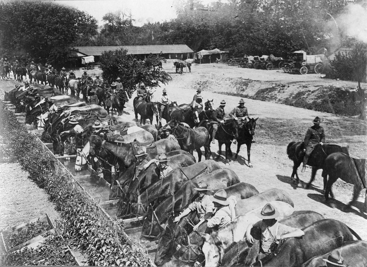 Horses and soldiers line up at an enormous watering station.